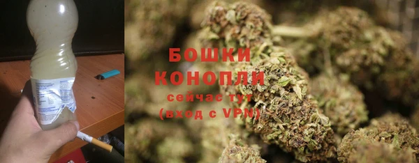 ECSTASY Абаза