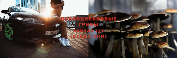 ECSTASY Абаза