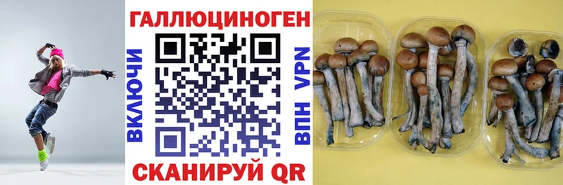 Галлюциногенные грибы Cubensis  купить наркоту  Кириллов 